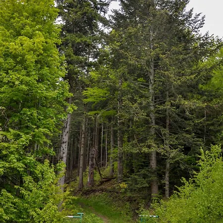 Dom W Gorach Krynica-Zdrój