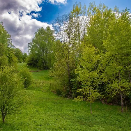 Dom W Gorach Krynica-Zdrój