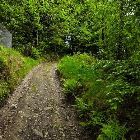 Dom W Gorach Apartmán Krynica-Zdrój