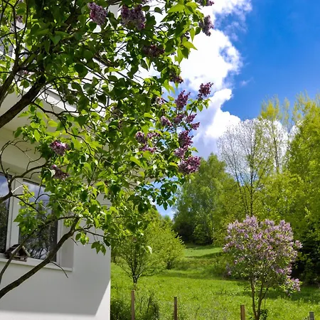 Apartmán Dom W Gorach Krynica-Zdrój